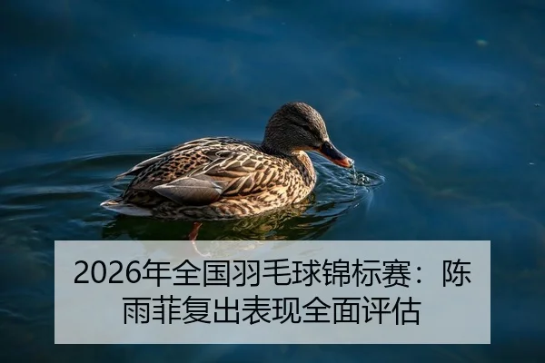 2026年全国羽毛球锦标赛：陈雨菲复出表现全面评估