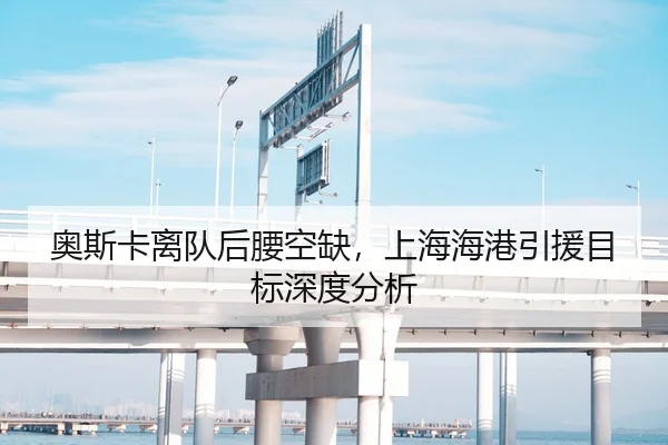 奥斯卡离队后腰空缺，上海海港引援目标深度分析