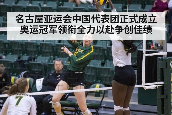 名古屋亚运会中国代表团正式成立奥运冠军领衔全力以赴争创佳绩